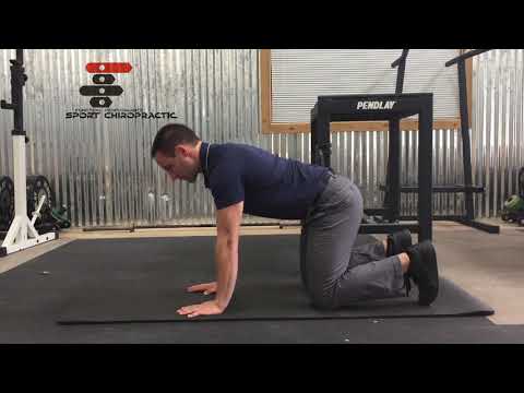 Low Back Workshop Recap